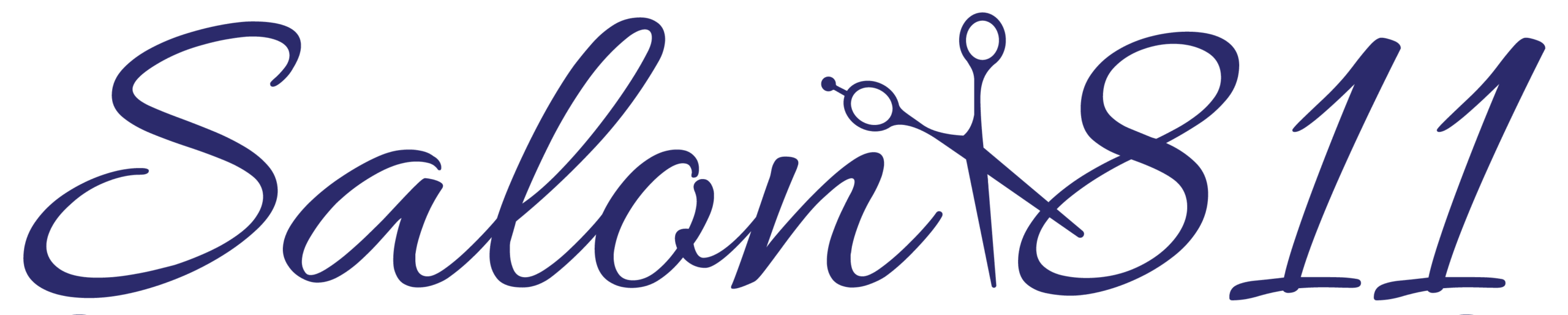 Salon 811 Western Springs IL text logo